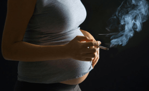 Photo Courtesy ScienceMag.org